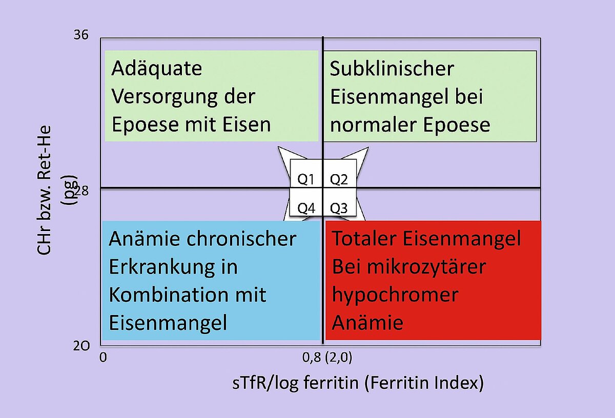 abb_3_diagnostik_eisenstatus.jpg