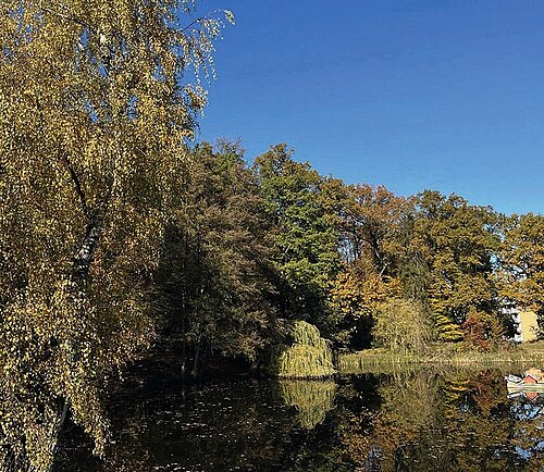 impressionen_herbst.jpg